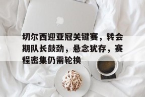 kaiyun 开云体育-切尔西足球俱乐部冬窗引员